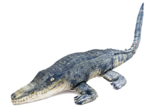 CROCODI...