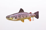 TROUT, ...