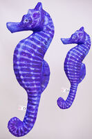 Foto - SEAHORS...