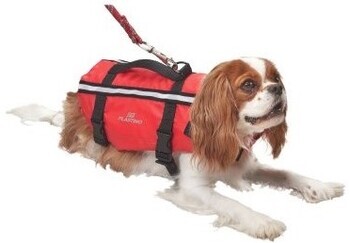 Foto - LIFEJACKET FOR DOG- TYPHOON, M