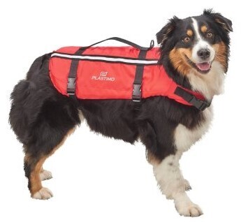 Foto - LIFEJACKET FOR DOG- TYPHOON, L