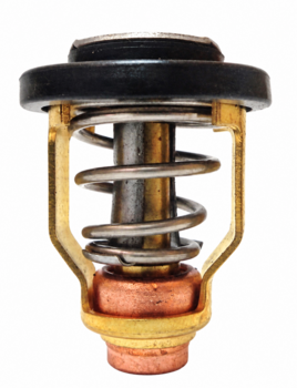 Foto - THERMOSTAT FOR YAMAHA F115/VZ200 - VZ300